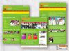 Web pages